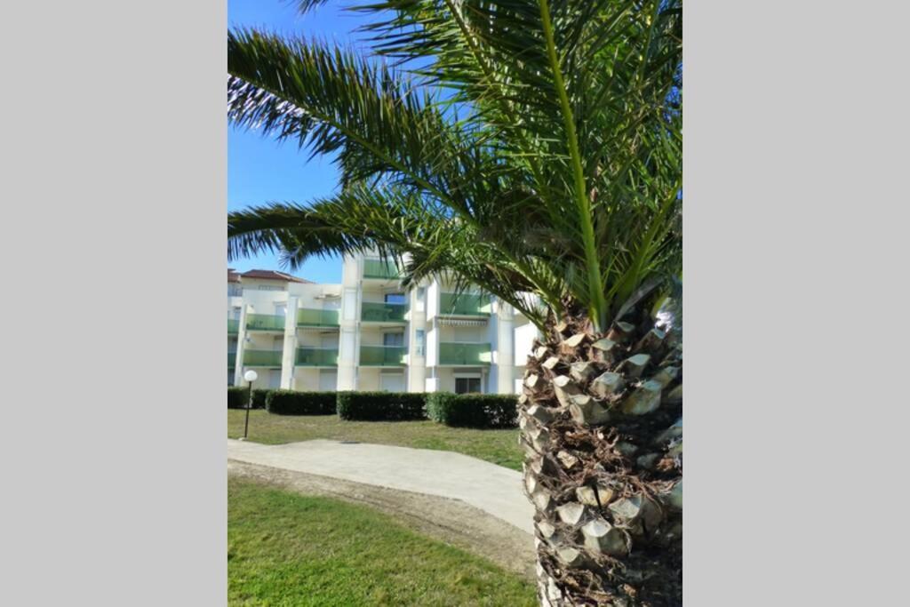 Les Goelettes - Appartement En Rdc Avec Acces Direct A La Plage 圣西普里安 外观 照片