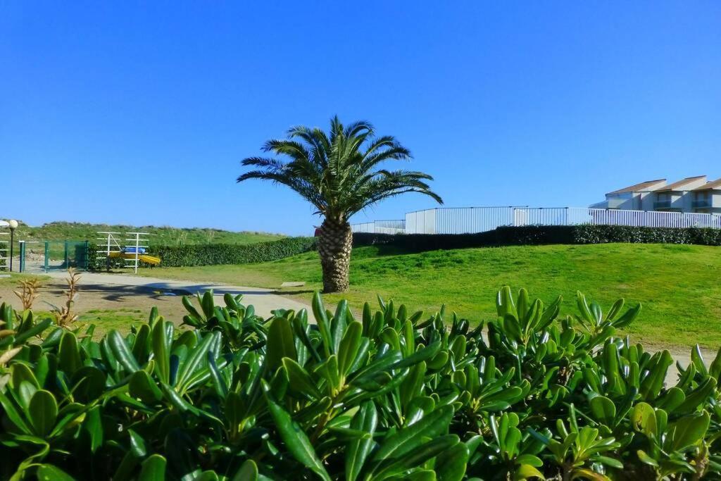 Les Goelettes - Appartement En Rdc Avec Acces Direct A La Plage 圣西普里安 外观 照片
