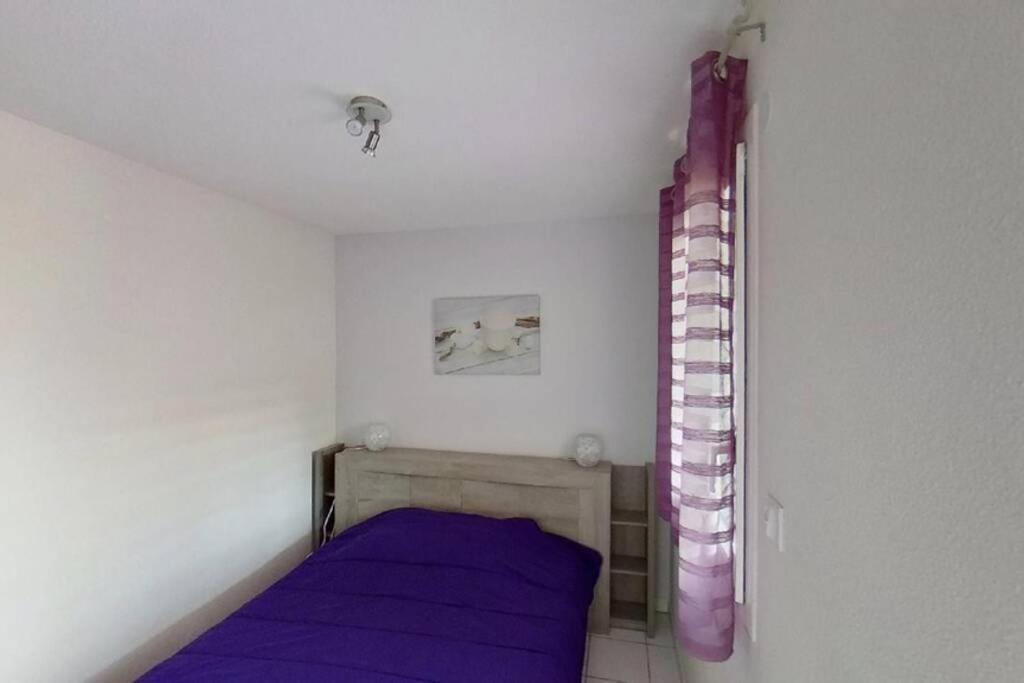 Les Goelettes - Appartement En Rdc Avec Acces Direct A La Plage 圣西普里安 外观 照片